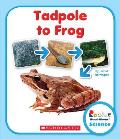 Tadpole to Frog (Rookie Read-About Science: Life Cycles)