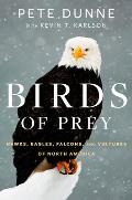 Birds of Prey Hawks Eagles Falcons & Vultures of North America