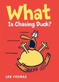 What Is Chasing Duck