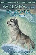 Wolves of the Beyond 05 Spirit Wolf