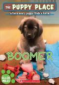 Puppy Place 37 Boomer