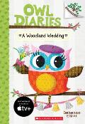 Owl Diaries 03 Woodland Wedding Owl Branches Growing Readers