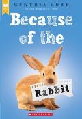 Because of the Rabbit Scholastic Gold