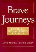 Brave Journeys Profiles In Gay & Lesbian