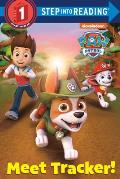 Paw Patrol Deluxe Step Into Reading Paw Patrol Level 1