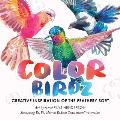 Color Birdz: Creative Inspiration of the Feathery Sort