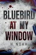 Bluebird At My Window