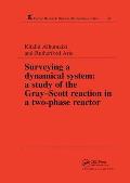 Surveying a Dynamical System: A Study of the Gray-Scott Reaction in a Two-Phase Reactor