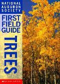 Trees Audubon First Field Guide
