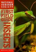 Insects National Audubon First Field Guide