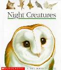 Night Creatures First Discovery Book