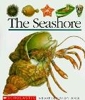 Seashore First Discovery Book