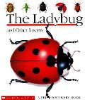 Ladybug & Other Insects First Discovery