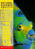 Audubon First Field Guide Fishes