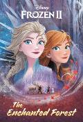 Enchanted Forest Disney Frozen 2