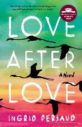Love After Love A Novel