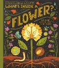 Whats Inside A Flower & Other Questions About Science & Nature