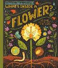 What's Inside a Flower?: And Other Questions about Science & Nature