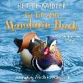 Tale of the Mandarin Duck A Modern Fable