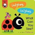 Ladybug Ladybug What Can You See