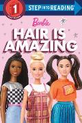 Hair Is Amazing (Barbie): A Book about Diversity