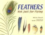 Feathers: Not Just for Flying