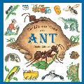 Life & Times Of The Ant