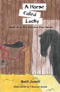 A Horse Called Lucky: Book 2 in the Fearless Four Series