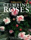 Climbing Roses