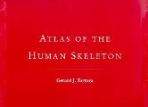 Atlas Of The Human Skeleton