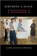 Birthing a Slave: Motherhood and Medicine in the Antebellum South