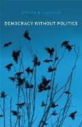 Democracy Without Politics