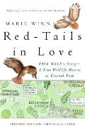 Red Tails in Love A Wildlife Drama in Central Park