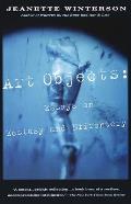 Art Objects Essays on Ecstasy & Effrontery