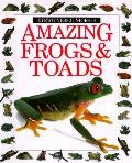 Amazing Frogs & Toads Eyewitness Junior