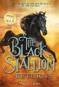 Black Stallion 02 Black Stallion Returns