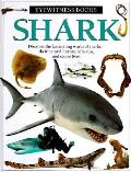 Shark Eyewitness