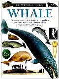 Whale Eyewitness