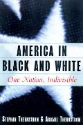 America In Black & White One Nation Indi