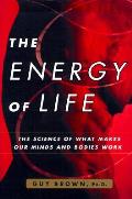 Energy Of Life The Science Of What Makes