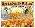 Have You Seen My Duckling?: A Caldecott Honor Award Winner