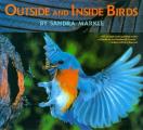 Outside & Inside Birds