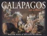 Galapagos Life in Motion