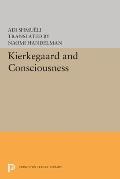 Kierkegaard & Consciousness