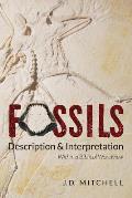 Fossils: Description & Interpretation: Within a Biblical Worldview