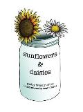 Sunflowers & Daisies