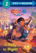 Puppy for Miguel Disney Pixar Coco