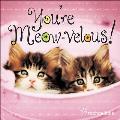 You're Meow-Velous!