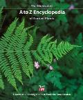 Illustrated A To Z Encyclopedia Of Garden Plants