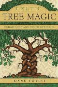 Celtic Tree Magic Ogham Lore & Druid Mysteries
